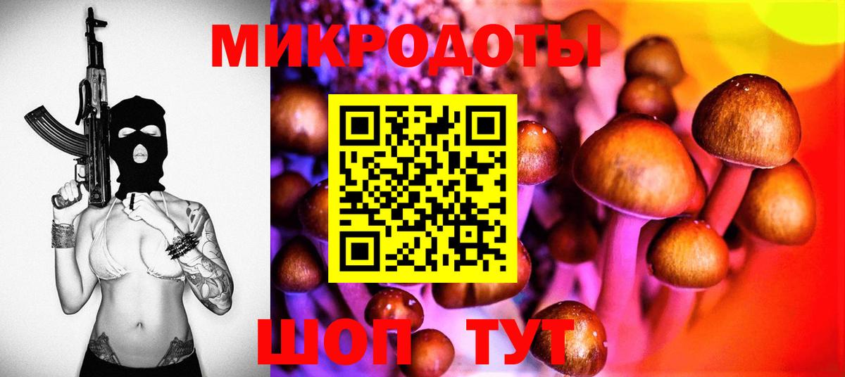 Псилоцибиновые грибы MAGIC MUSHROOMS  Вход с VPN  Биробиджан 